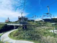 韓國釜山 好玩的跑跑卡丁車 Skyline Luge 釜山 스카이라인 루지 부산