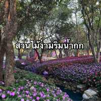 เที่ยวงานดอกไม้จ.เชียงราย 🌸