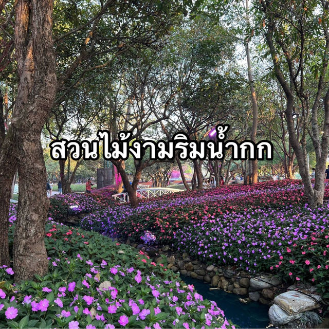 เที่ยวงานดอกไม้จ.เชียงราย 🌸