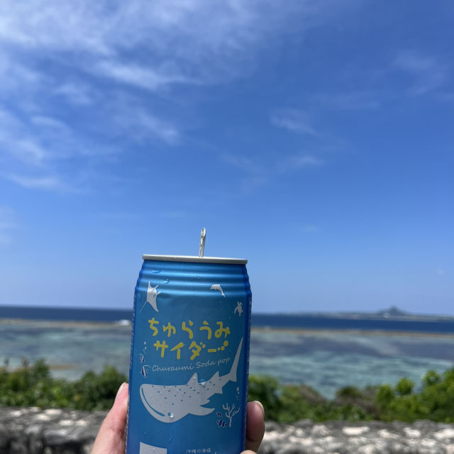 A Fun Getaway to Okinawa Churaumi Aquarium