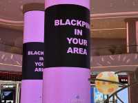 音浪如潮，星光如夢：Blackpink澳門演唱會心靈之旅