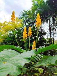 Hidden Gem Sembawang Hot Spring Park