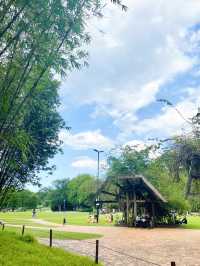 🇸🇬 Exploring the Singapore Botanic Gardens: A Green Oasis in the Garden City