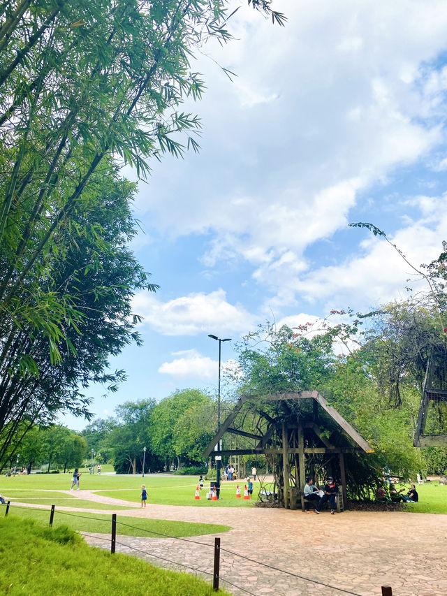 🇸🇬 Exploring the Singapore Botanic Gardens: A Green Oasis in the Garden City