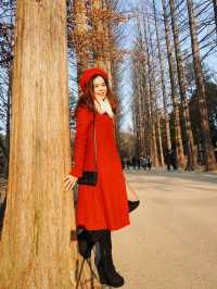 Nami Island 