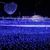 ✨ พาชม Tokyo Midtown Light-up