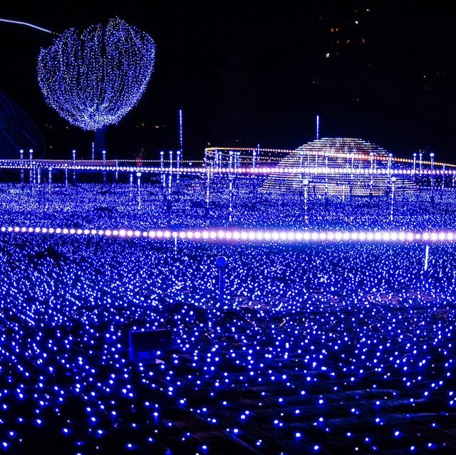 ✨ พาชม Tokyo Midtown Light-up