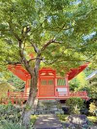 【東京都】多宝塔と緑の美しいコントラスト