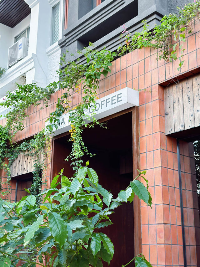 ☕️泰國清邁古城區網紅紅磚咖啡店🤎