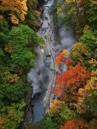 【秋田】橋の上から見る紅葉の景色は圧巻‼️東北トップクラスの紅葉スポット✨※攻略付き