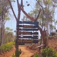 บ้านปริญญา โฮมสเตย์แอนด์คาเฟ่ เกาะล้านพัทยา