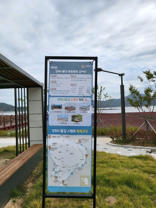 칠면초 가득핀 가을 강화도의 이색 여행지 칠면초 가득핀 가을 강화도의 이색 여행지