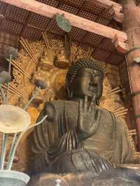 NARA🦌 in One Day: Where History and Nature Embrace