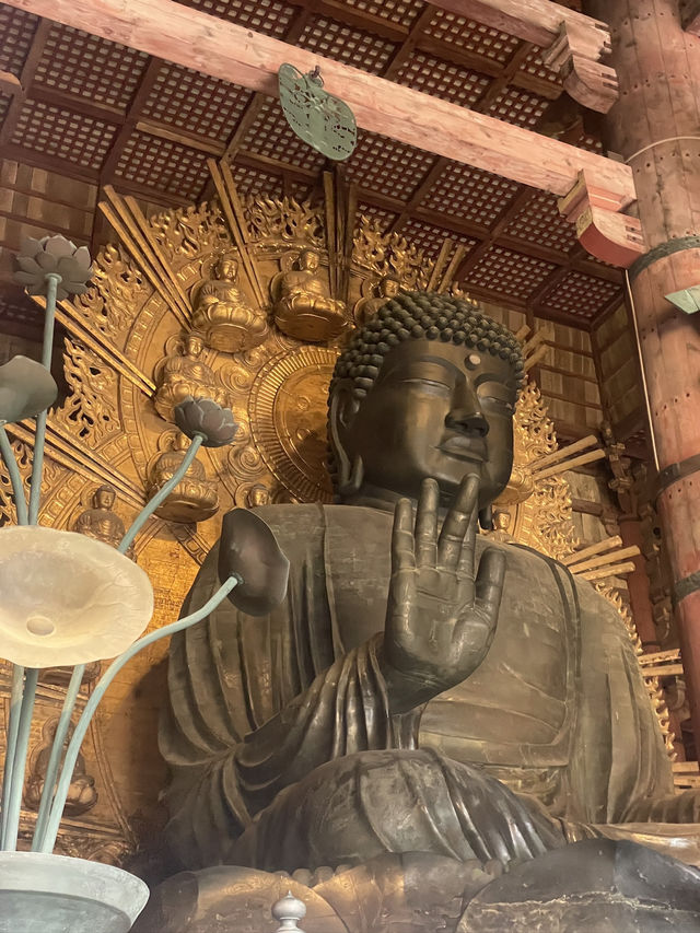 NARA🦌 in One Day: Where History and Nature Embrace
