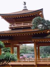Nan Lian Garden สวนจีนโบราณในฮ่องกง