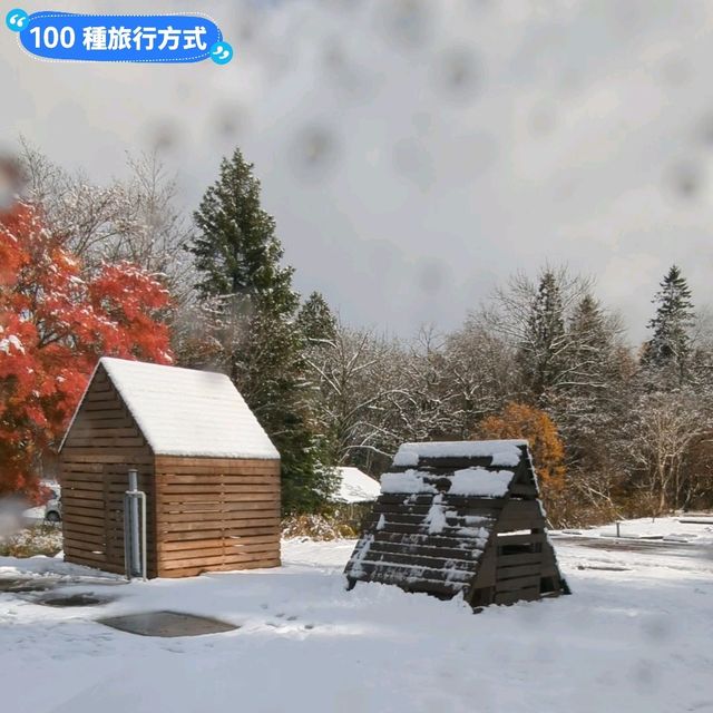 賞楓途中遇到雪！白雪覆蓋的夢幻蔦溫泉