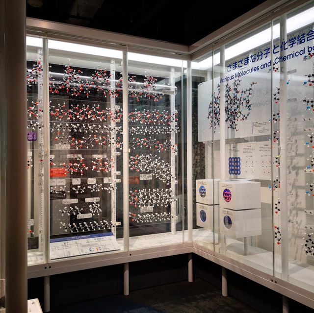 Science Wonders: My Fun Day at Nagoya City Science Museum!