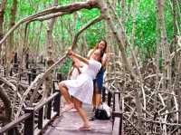 ท่องเที่ยวธรรมชาติที่วนอุทยานปราณบุรี