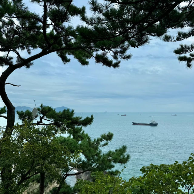 🇰🇷空中纜車下的釜山視野 「Busan Air Cruise」