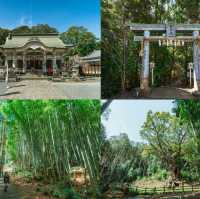 แพลนเที่ยวฟุกุโอกะ ภูมิภาค Kyushu 🇯🇵