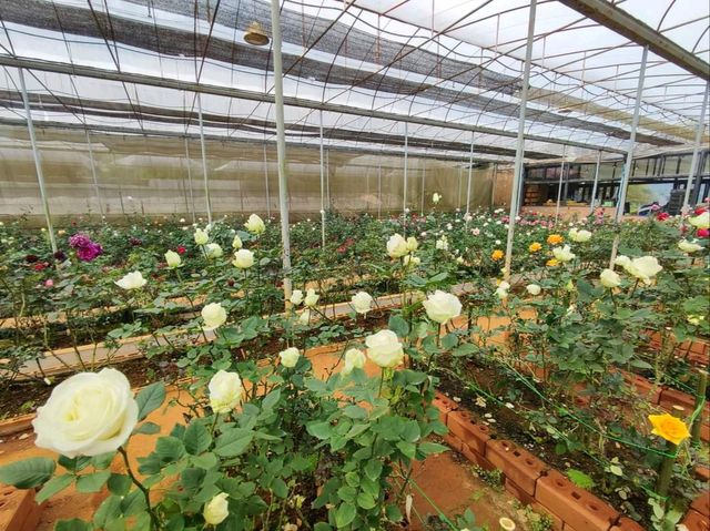 ธรรมชาติงดงาม ในหุบเขาสลับซับซ้อน บนยอดดอยอ่างขาง