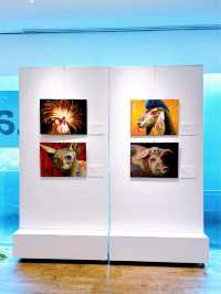 A Brush with the Chinese Zodiac: A Solo Exhibition by Sue Olivier