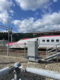 【田沢湖】田沢湖駅前✨艶々きりたんぽ稲庭うどん✨