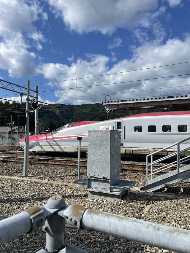 【田沢湖】田沢湖駅前✨艶々きりたんぽ稲庭うどん✨