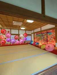京都観光🥰🩷随心院🩷魅惑の和傘の光の祭典⛱️✨