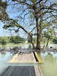 คาเฟ่ลับกลางป่าSOP Cafe #โพธาราม 🌿🥤🌊🧉 