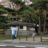松島観光