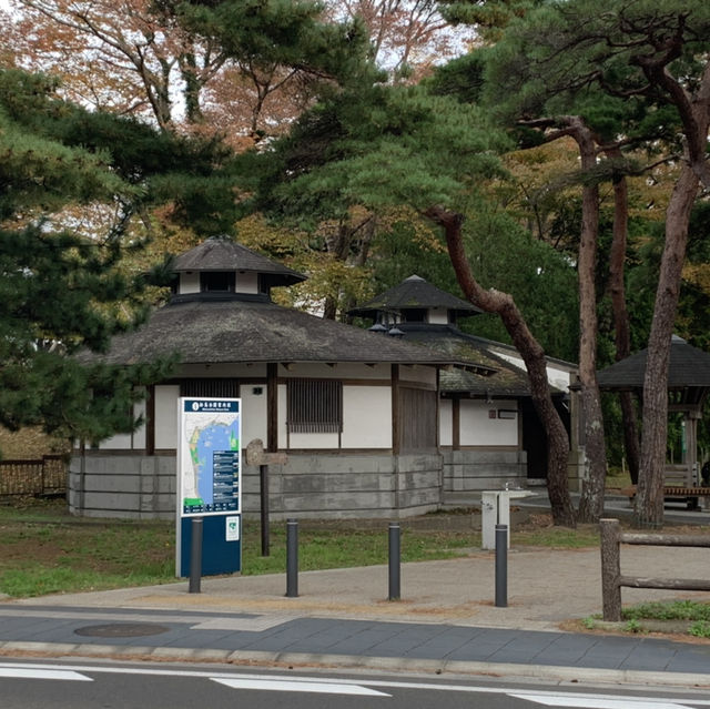 松島観光