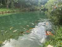 เหมืองปิล็อก - อ.ทองผาภูมิ กาญจนบุรี
