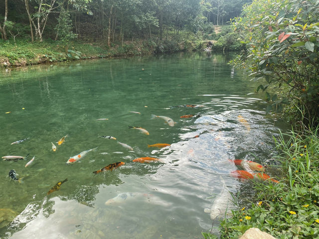 เหมืองปิล็อก - อ.ทองผาภูมิ กาญจนบุรี