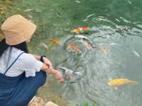 เหมืองปิล็อก - อ.ทองผาภูมิ กาญจนบุรี