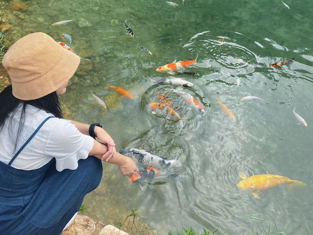 เหมืองปิล็อก - อ.ทองผาภูมิ กาญจนบุรี