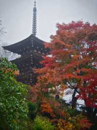 【紅葉特集】ビー玉の手水が映え📸神秘的な雰囲気を醸し出す紅葉スポットを紹介🔍駐車場攻略付🅿️