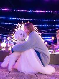 え？ほんと？ペットも連れて行けるイルミネーションが凄すぎた！本物のクリスマスに逢える場所🎅♥️🎄