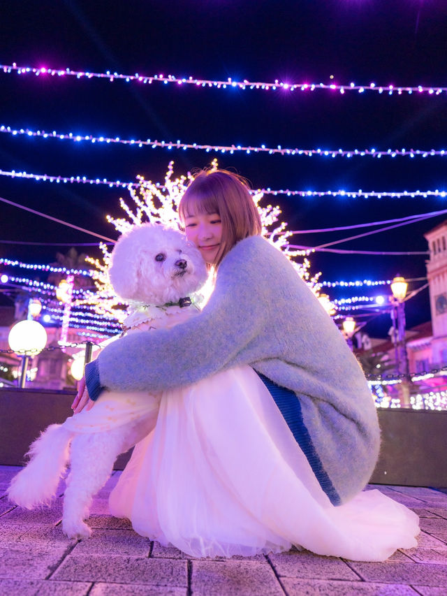 え？ほんと？ペットも連れて行けるイルミネーションが凄すぎた！本物のクリスマスに逢える場所🎅♥️🎄