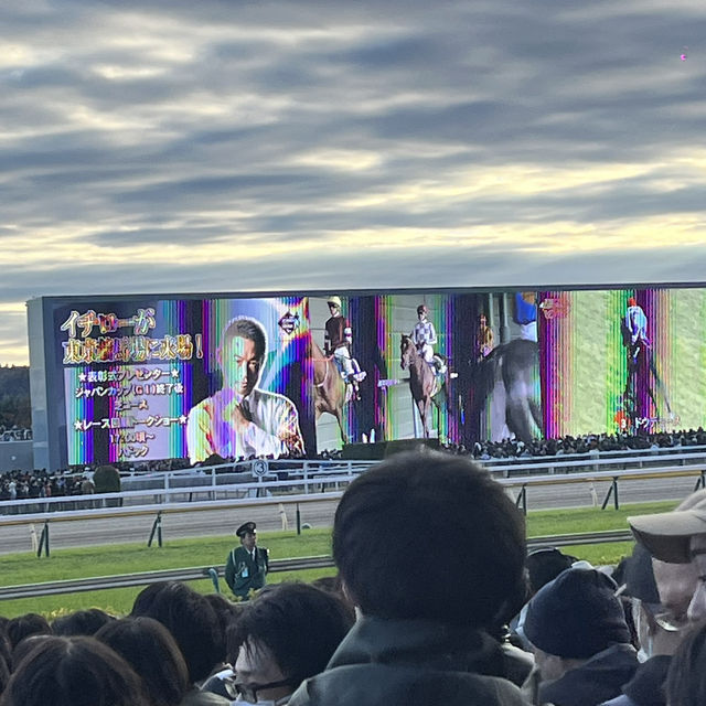 【東京🗼】競馬だけじゃない！東京競馬場を遊び尽くそう🙌🏻