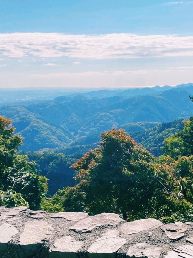 【東京×高尾山】団子でひと休みしながら楽しむ登山