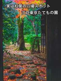【実は紅葉の穴場だった！】誰でも楽しめる！江戸東京たてもの園
