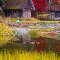 Shirakawa-go