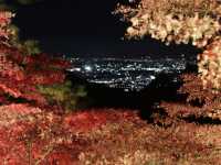 秋の大山寺