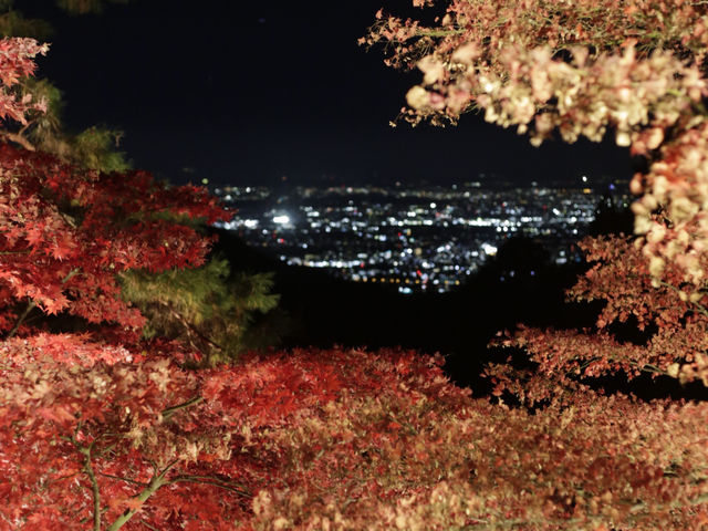 秋の大山寺