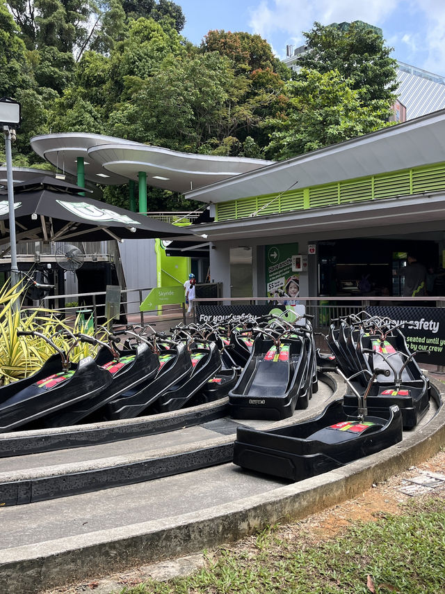 싱가포르 여행, 필수 액티비티! 센토사 루지🏎️