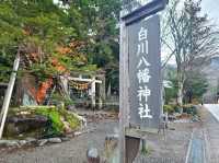 走進童話世界 - 秋天の白川鄉合掌村