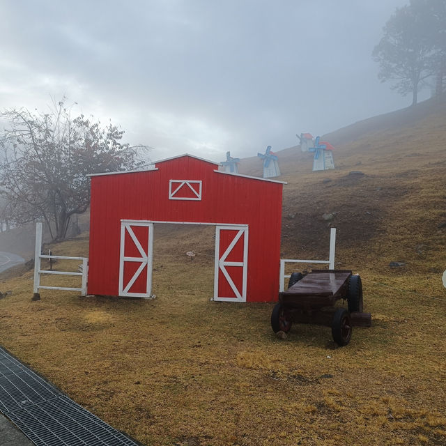 A Peaceful Retreat at Qingjing Farm: My Taiwan Adventure 