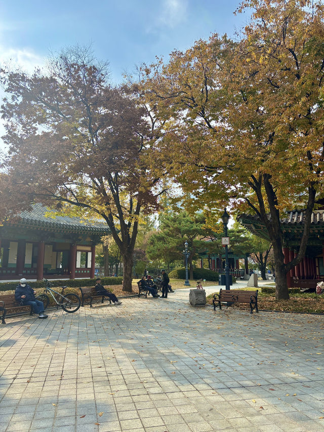 역사가 묻어있어서 더 뜻깊은 산책하기 좋은 공원✨🌳