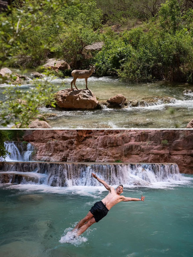 Top 3 Reasons You Need to Visit Havasupai